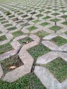 Grass block of paving block in a city park