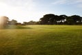 Grass, blue sky and trees on golf course with sunset, clouds and natural landscape in summer park. Nature, green and Royalty Free Stock Photo