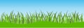 Grass and blue sky vector. Grass Background Weeds Vector Royalty Free Stock Photo