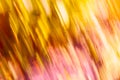 Grass blur lines with oranges reds, and yellows Royalty Free Stock Photo