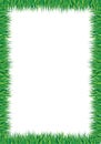 Grass border