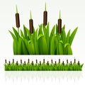 Grass border Royalty Free Stock Photo