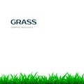 Grass border. Horizontal banner with green grass. Vector illustration isolated on white background Royalty Free Stock Photo