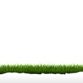 Grass Border Isolated White Background Royalty Free Stock Photo