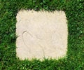 Grass border and stone slab background texture Royalty Free Stock Photo
