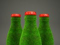 Grass bottle Royalty Free Stock Photo