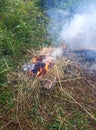 Grass is burning in nature near the river, fire, smoke and fire are possible Royalty Free Stock Photo