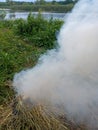 Grass is burning in nature near the river, fire, smoke and fire are possible Royalty Free Stock Photo
