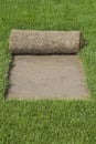 Grass Carpet Reel Royalty Free Stock Photo