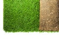 Grass Carpet Roll Royalty Free Stock Photo