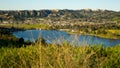 Grass Castaic Lake California