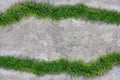 The grass in the cement floor Royalty Free Stock Photo