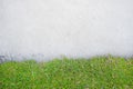 Grass with cement Royalty Free Stock Photo