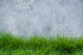 Grass on cement wall Royalty Free Stock Photo