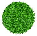 Grass circle. Realistic lawn round patch top view