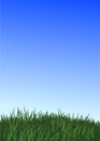 Grass and Clear Blue Sky