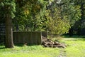 Grass clippings for compost in the recreation area were collected near the fence in October. Berlin, Germany