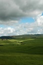 Grass and clouds