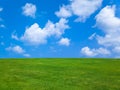 Grass and cloudy sky Royalty Free Stock Photo