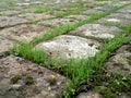 Grass Between Cobbles - Diagonal Royalty Free Stock Photo