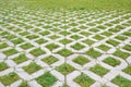 Grass and cobblestone walk way in a urban park. Vanishing point