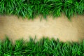 Grass and concrete background. Royalty Free Stock Photo