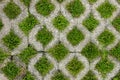 Grass in concrete block,concrete block walkway fill green grass Royalty Free Stock Photo