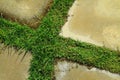 Grass and concrete floor Royalty Free Stock Photo