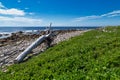 Grassy beach next to the ocean - Coastal Trail, Gros Morne, Newfoundland, Canada