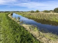 Grass covered dike of Grabowa river in Poland on a sunny late summer day