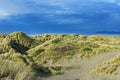 Grass-covered dunes Royalty Free Stock Photo