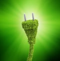 Grass covered electrical plug