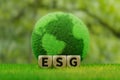 Grass-covered Forest Earth and ESG,3d rendering