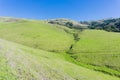 Grass covered hills, trail to Mission Peak, south San Francisco bay, California