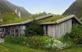 Grass covered norwegian house Royalty Free Stock Photo