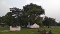 Grass-covered open field cemetery.