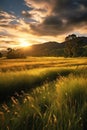 grass-covered rolling hills during golden hour Royalty Free Stock Photo