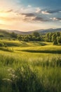 grass-covered rolling hills during golden hour Royalty Free Stock Photo