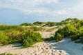 Grass-Covered Sand Dunes at Coquina Beach at Nags Head Royalty Free Stock Photo