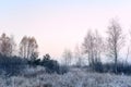 The grass is covered with white frost in the early morning. The shining of the sun in the fog. Royalty Free Stock Photo