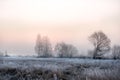 The grass is covered with white frost in the early morning. The shining of the sun in the fog. Royalty Free Stock Photo