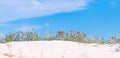 Grass crest of a white sand dune Royalty Free Stock Photo