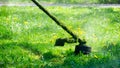 Grass cutting in the garden Royalty Free Stock Photo