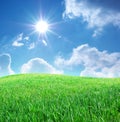 Grass and deep blue sky Royalty Free Stock Photo