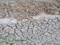 The grass and dried cracked earth. Because of no rain and drought season., Arid ground , Dry grounds Royalty Free Stock Photo