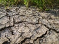 The grass and dried cracked earth. Because of no rain and drought season Royalty Free Stock Photo