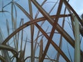 Dried grass against the background of a clear sky