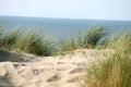 Grass on dune Royalty Free Stock Photo