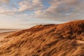 Grass dune in the evening light with a view of the sea Royalty Free Stock Photo