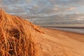 Grass dune in the evening light with a view of the sea Royalty Free Stock Photo